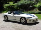 Une belle viper